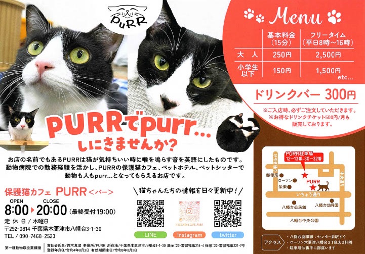 保護猫カフェ　PURR