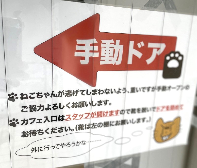 保護猫カフェ　PURR