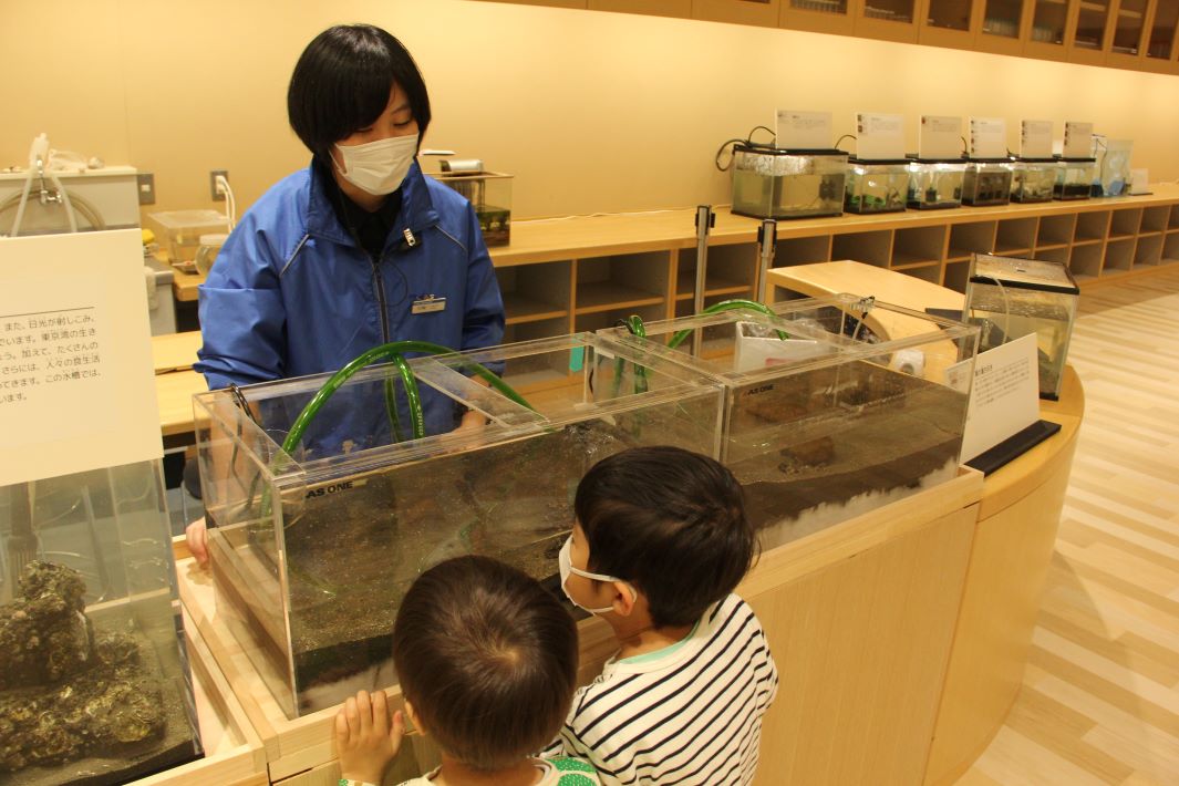 【船橋市】干潟やそこに住む生き物について学べる「ふなばし三番瀬環境学習館」