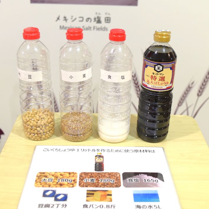 【野田市】「キッコーマンもの知りしょうゆ館」実際の施設を見ながらわかりやすくしょうゆのつくり方 を学べる！