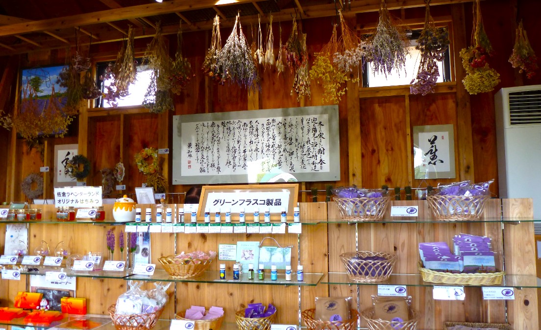 【佐倉市】ローズガーデンも新設!佐倉ラベンダーランド