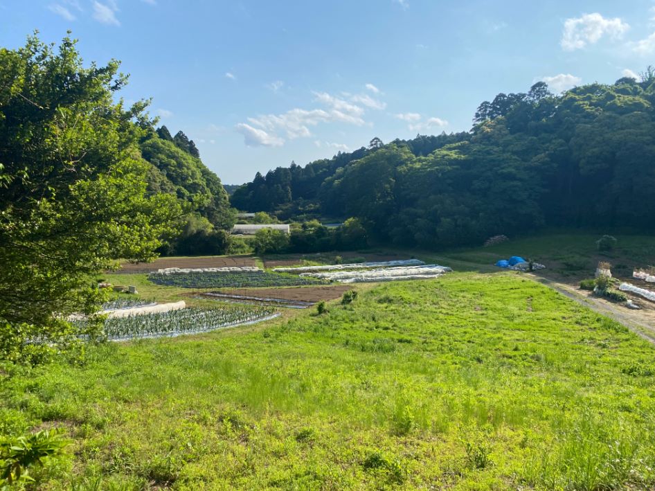 【ちいきの逸品】香取市産 旬の香味野菜と豚肉を一本一本手詰め 「のんべぇそーせーじ」(まぁずファーム)