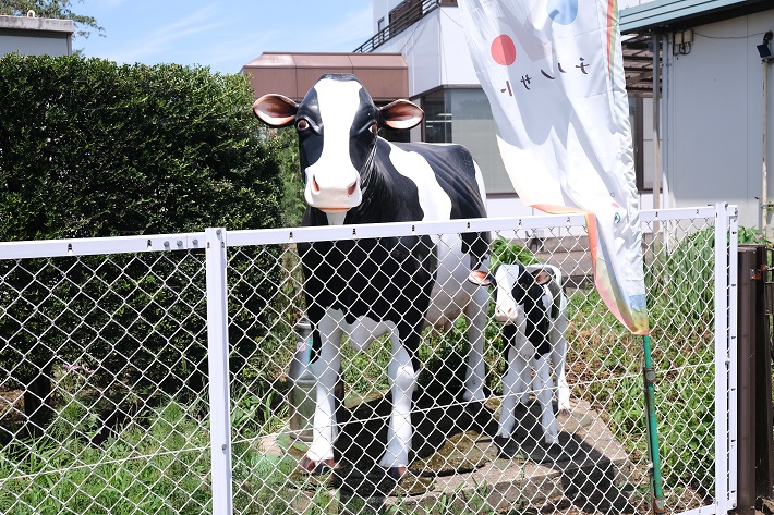 千葉酪農農業協同組合の直売所「おなりみるく工房」