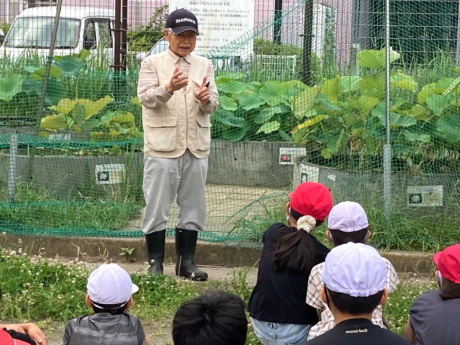 瑞穂小 大賀ハスのふるさとの会