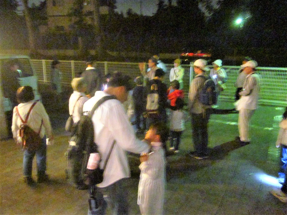 【鎌ケ谷市】自然観察講座「鳴く虫の夕べ」8月26日開催!