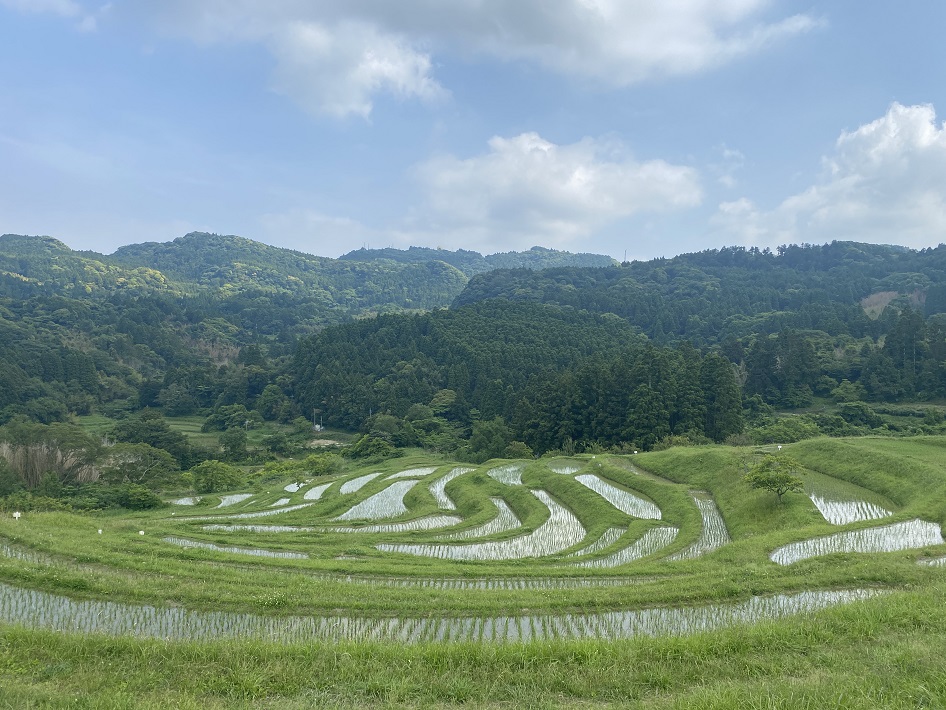 大山千枚田