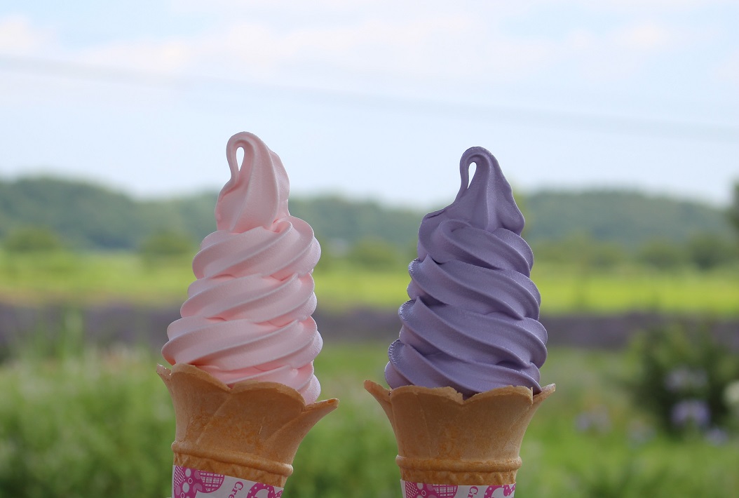 【佐倉市】ラベンダーソフトクリームが話題!「佐倉ラベンダーランド」