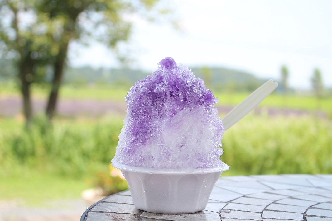 【佐倉市】ラベンダーソフトクリームが話題!「佐倉ラベンダーランド」