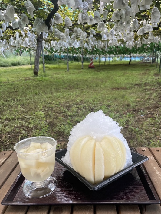【船橋市】果物農家「芳蔵園」が作るフルーツたっぷりのかき氷！