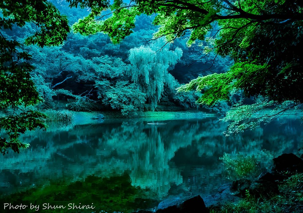 【市川市】Shun Shirai写真展 市川夏景色㏌てらす