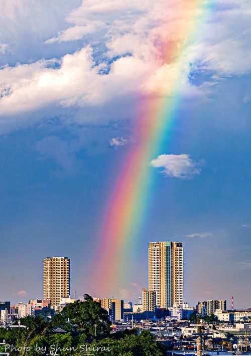 【市川市】Shun Shirai写真展 市川夏景色㏌てらす