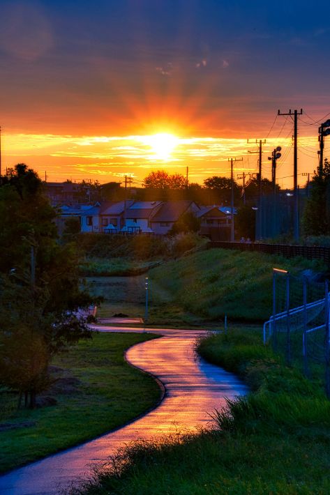 【市川市】Shun Shirai写真展 市川夏景色㏌てらす