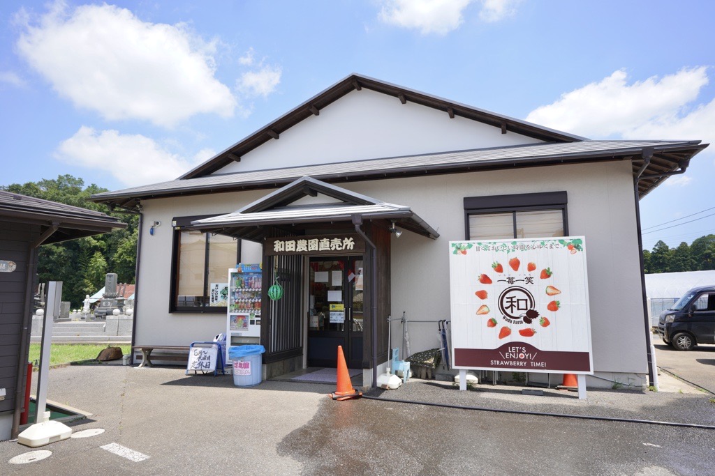【印西市平賀】 ハーフカットメロンにソフトクリームのせ! いちごとベリーのWベリーソフトもおいしい「和田農園直売所」