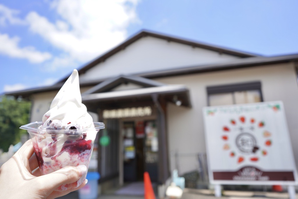 【印西市平賀】 ハーフカットメロンにソフトクリームのせ! いちごとベリーのWベリーソフトもおいしい「和田農園直売所」