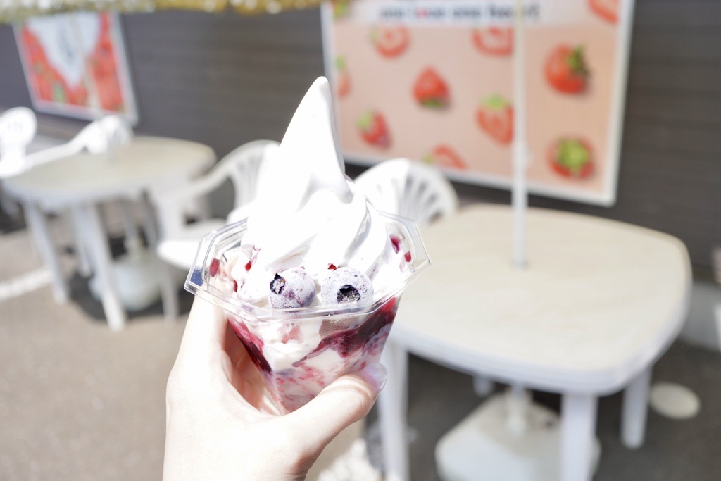 【印西市平賀】 ハーフカットメロンにソフトクリームのせ! いちごとベリーのWベリーソフトもおいしい「和田農園直売所」