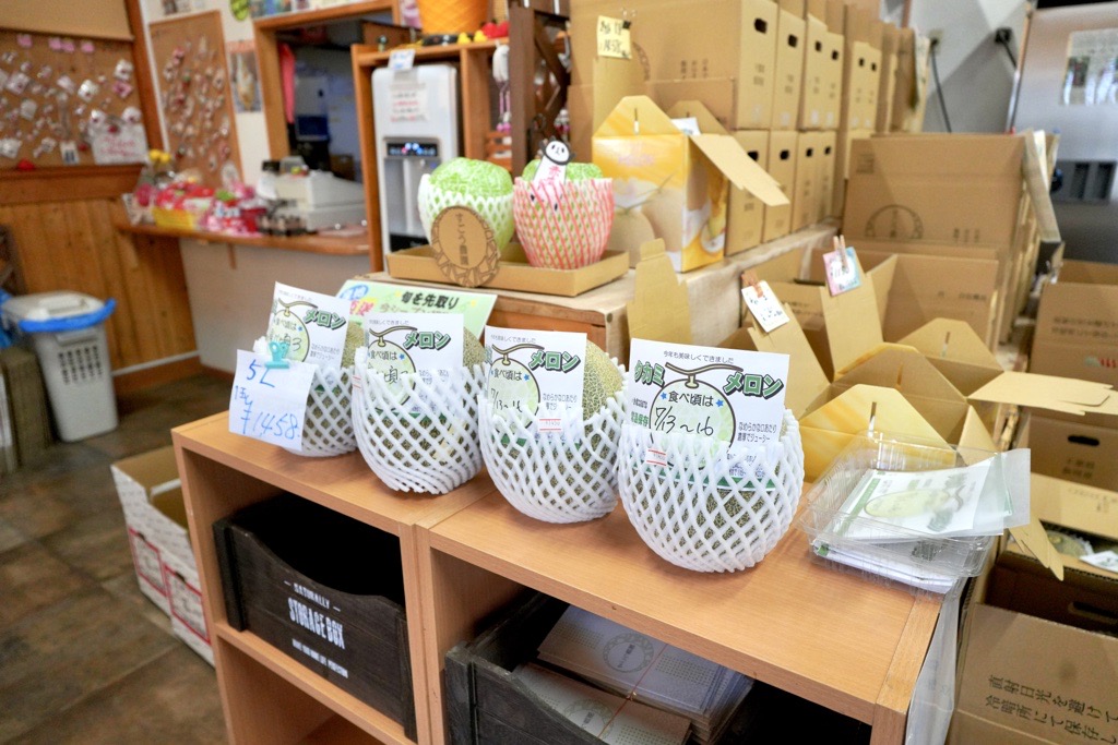 【印西市平賀】 ハーフカットメロンにソフトクリームのせ! いちごとベリーのWベリーソフトもおいしい「和田農園直売所」