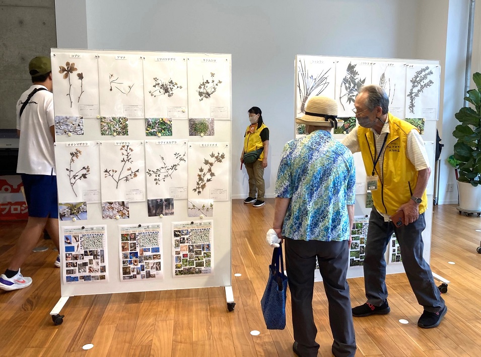 こんぶくろ池自然の森 標本展