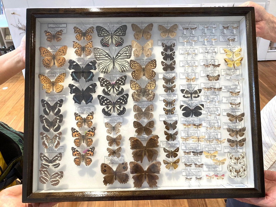こんぶくろ池自然の森 標本展
