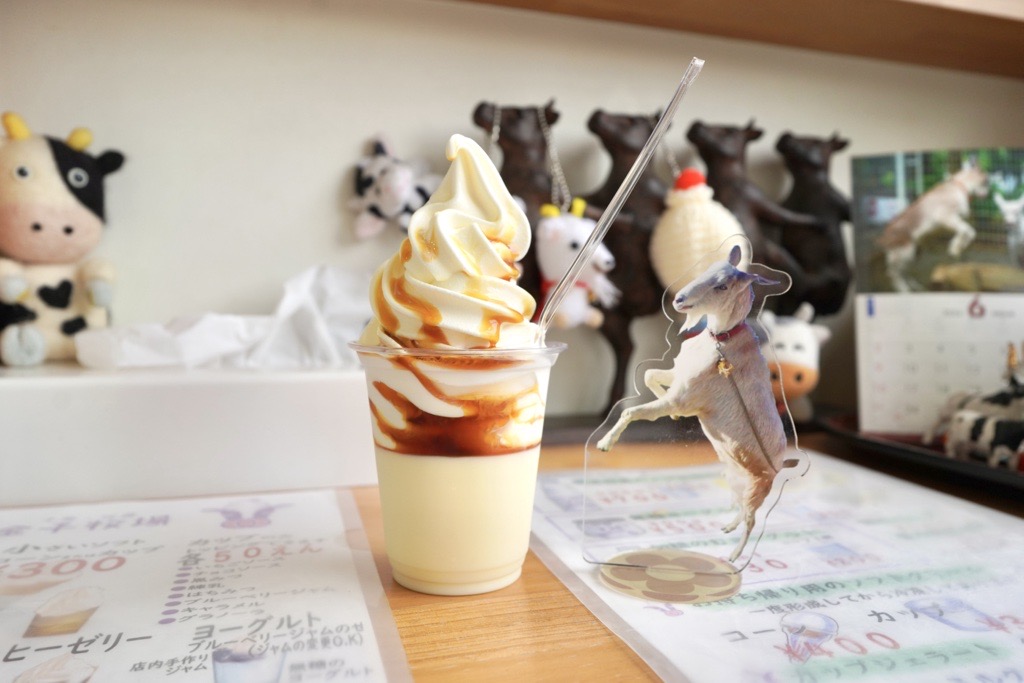 佐倉市 金子牧場のプリンソフト