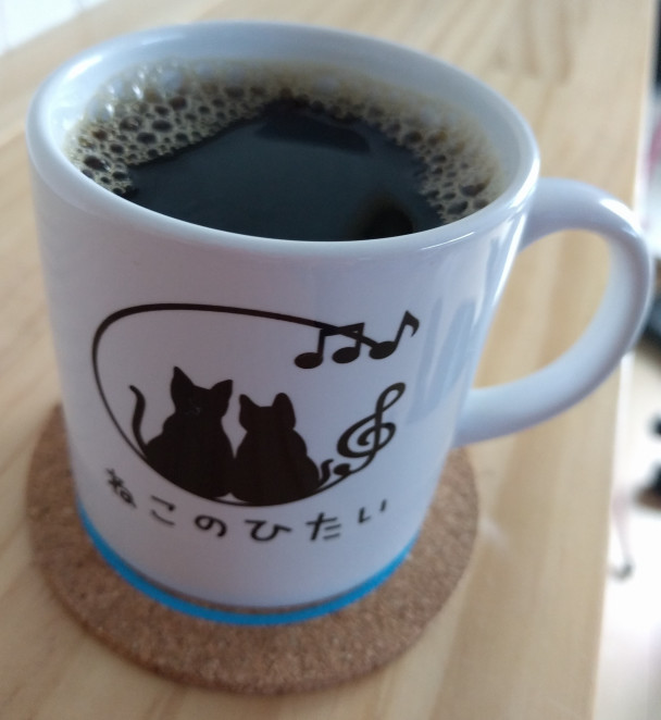 柏市の猫カフェ ねこのひたいのコーヒー
