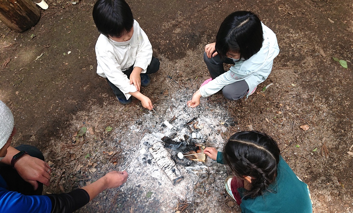 印旛沼探検隊