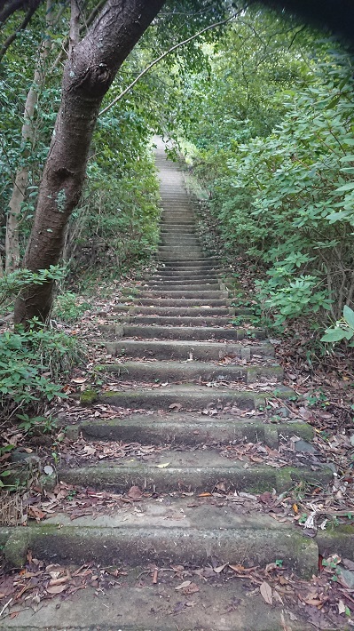 【富津市】JR浜金谷駅から「鋸山」へ登山・ハイキング！千葉の房総低名山シリーズ