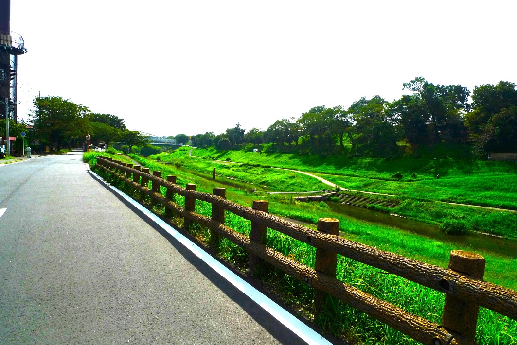 野田市 利根運河