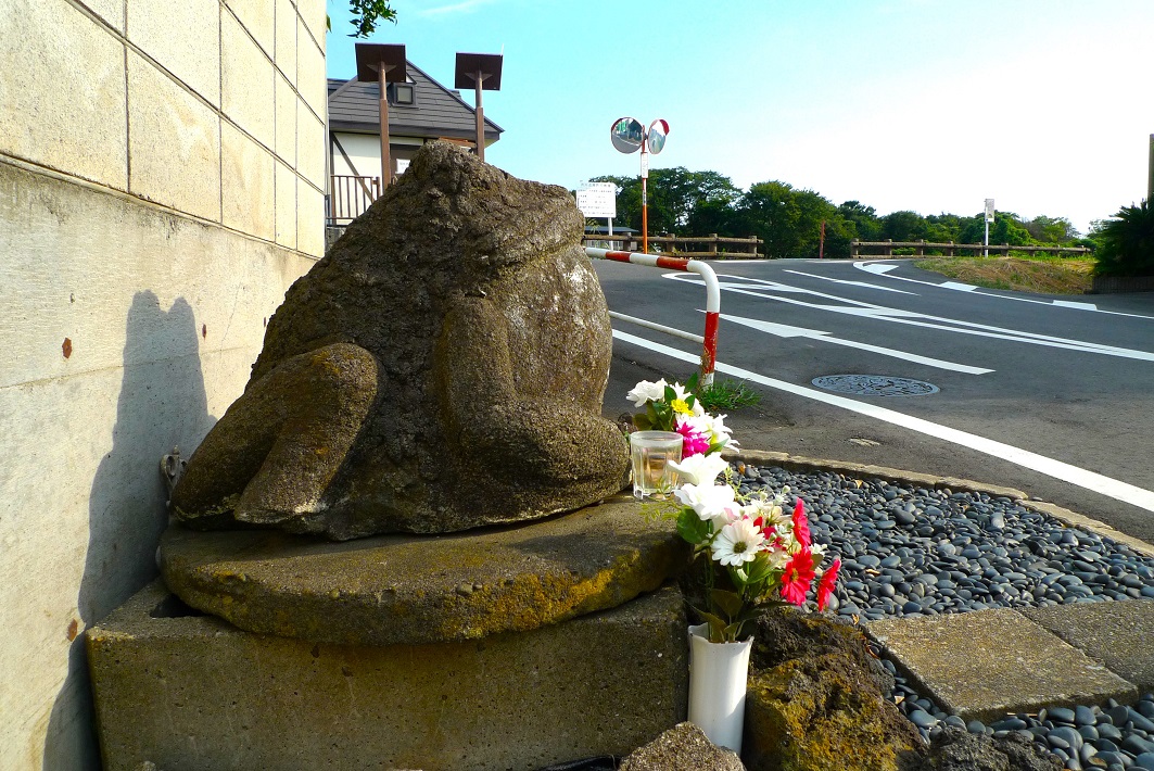野田市 運河カエル 利根運河