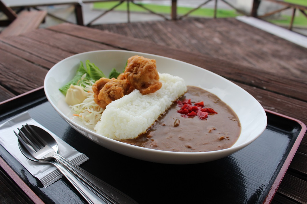 千葉県のダムカード&ダムカレー！配布場所やダム周辺のおすすめ