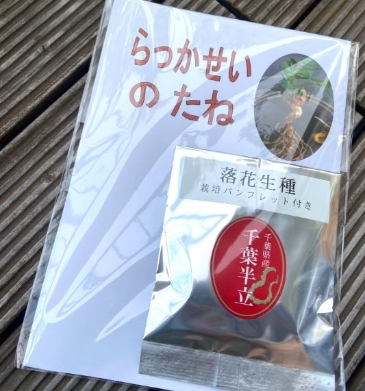 千葉県民なら知っておきたい落花生の育て方！　ベランダで実際に育ててみました