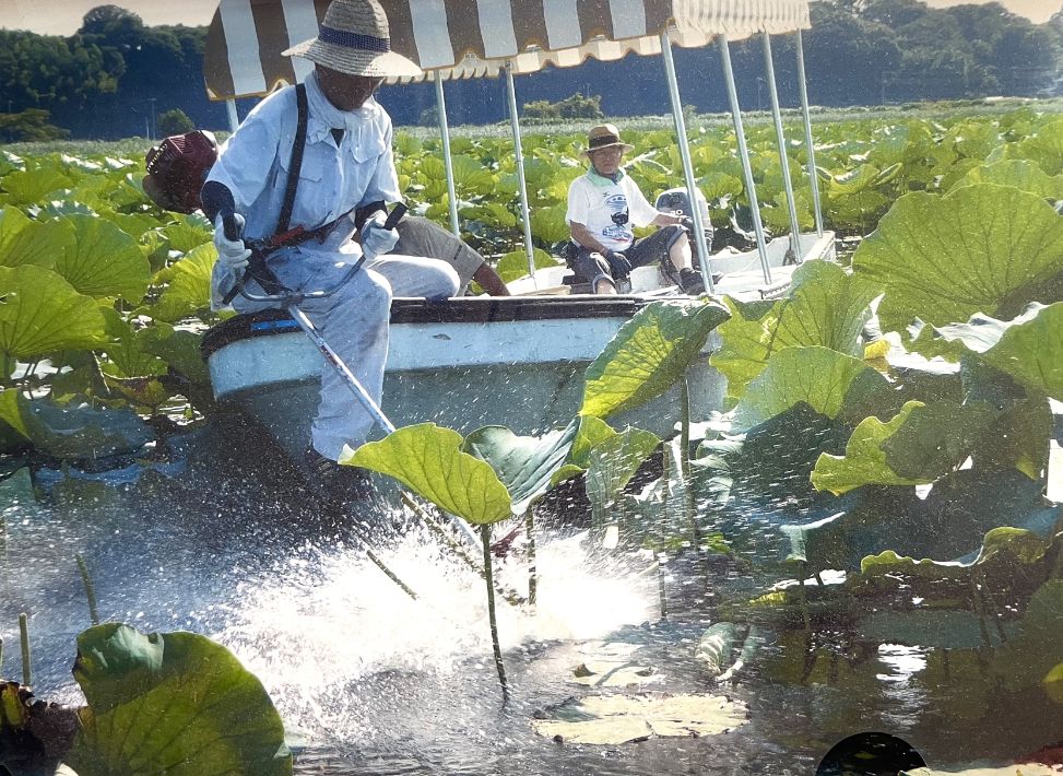 【我孫子市】「日本一汚い沼」だったからこそ、最高の釣り場だったボート屋「手賀沼の小池」主人に聞く、昭和の手賀沼風景