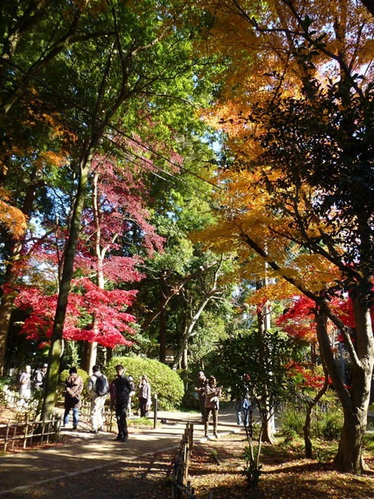 2023年秋「日立庭園」一般公開！12月9日（土）【我孫子市】