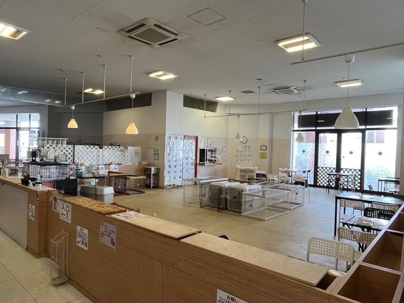 印西市 保護犬カフェ（R）印西店