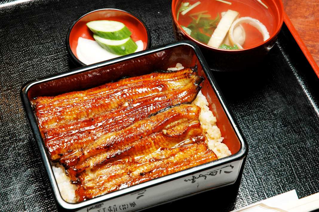 成田といえばうなぎ！明治43年創業の老舗「川豊本店」でいただく上うな重