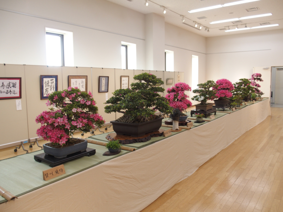 シャンソンのお話とミニコンサート 芸術祭展示部門
