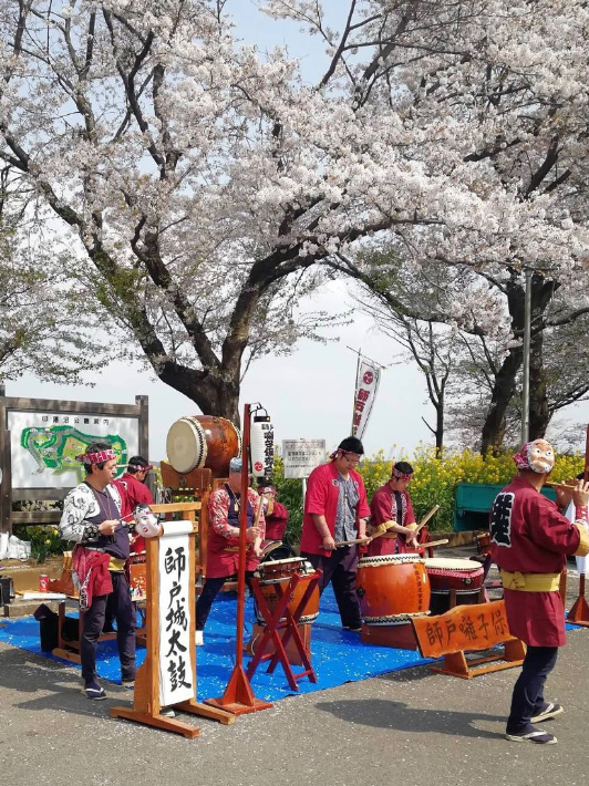 印西市 印旛沼公園で行われた花見の会での演奏