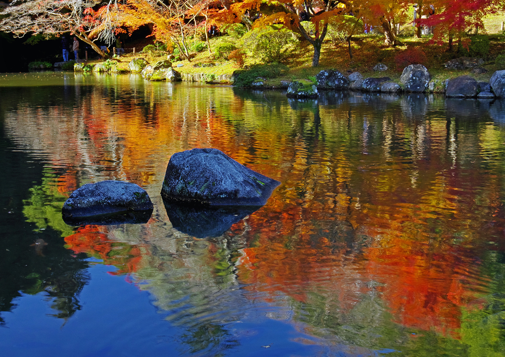成田山の紅葉情報