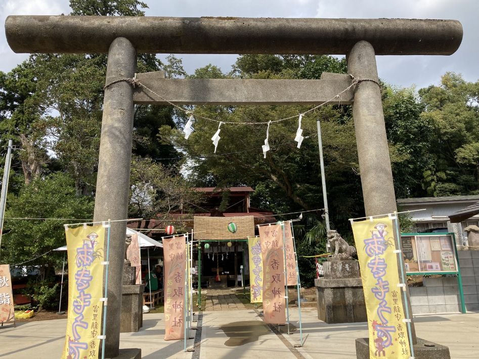 【富里市】第12回富里にんじんウォーク開催 ゆったり、のんびり健康になろう