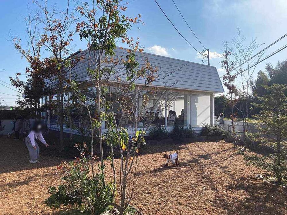 茂原氏 Dog Barrier free Cafeのドッグラン