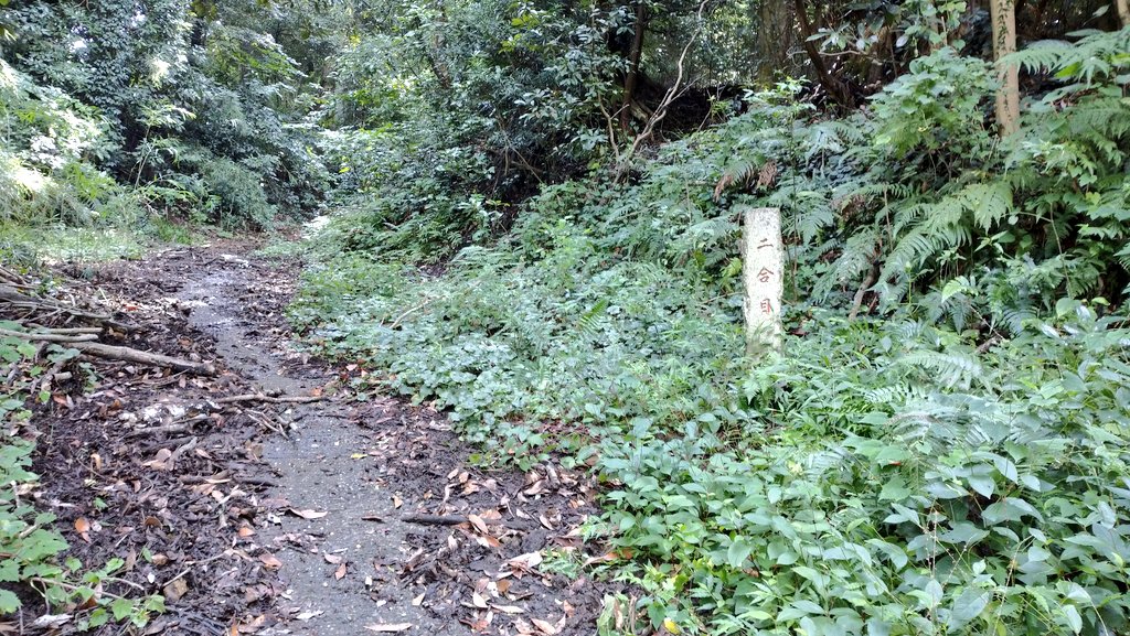 【南房総市】JR岩井駅から「富山」へ登山・ハイキング！千葉の房総低名山シリーズ