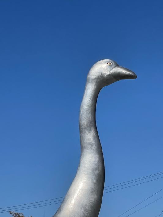 【我孫子市】でっかい鳥！高さ3.6メートル　鳥の博物館を見つめるジャイアント・モア