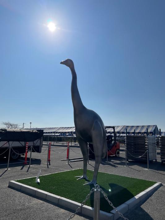 【我孫子市】でっかい鳥！高さ3.6メートル　鳥の博物館を見つめるジャイアント・モア