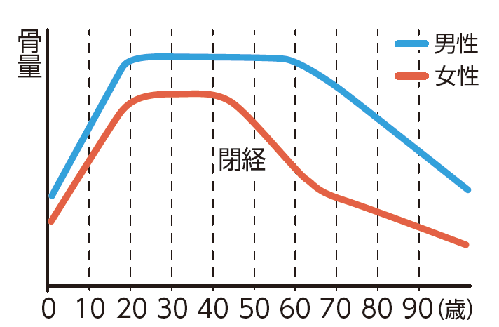 骨がもろいだけじゃない！？放置すると恐ろしい骨粗しょう症