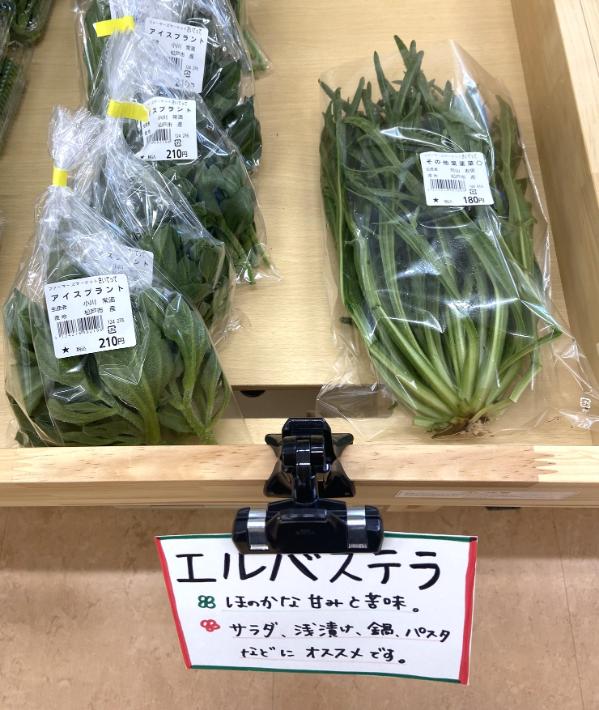【松戸市】野菜や手作りの加工品、生花からジビエまで！駅近のファーマーズマーケット「さいてって」