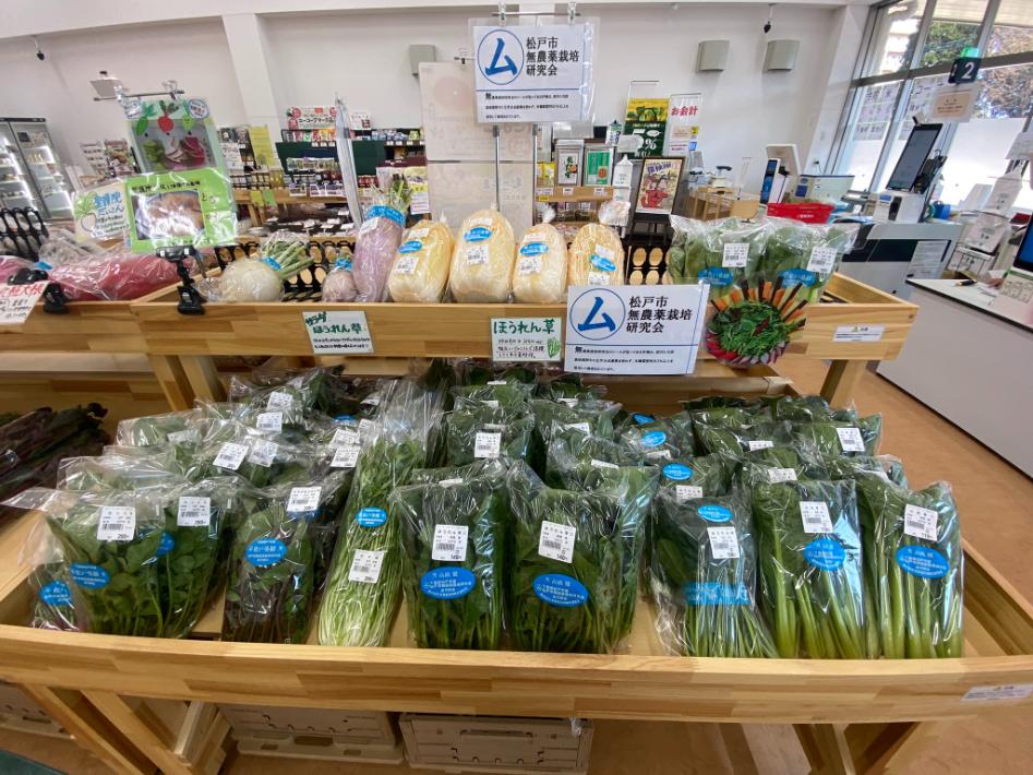 【松戸市】野菜や手作りの加工品、生花からジビエまで！駅近のファーマーズマーケット「さいてって」