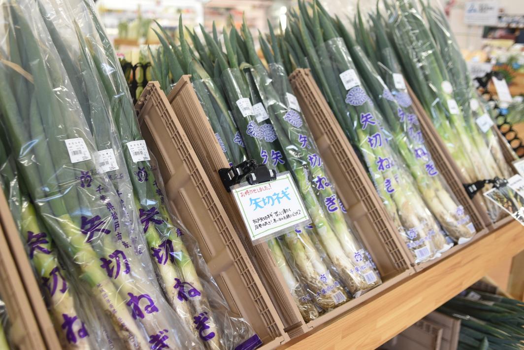 【松戸市】野菜や手作りの加工品、生花からジビエまで！駅近のファーマーズマーケット「さいてって」