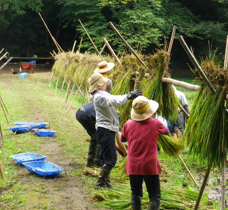 大草谷津田いきものの里【千葉市若葉区】
