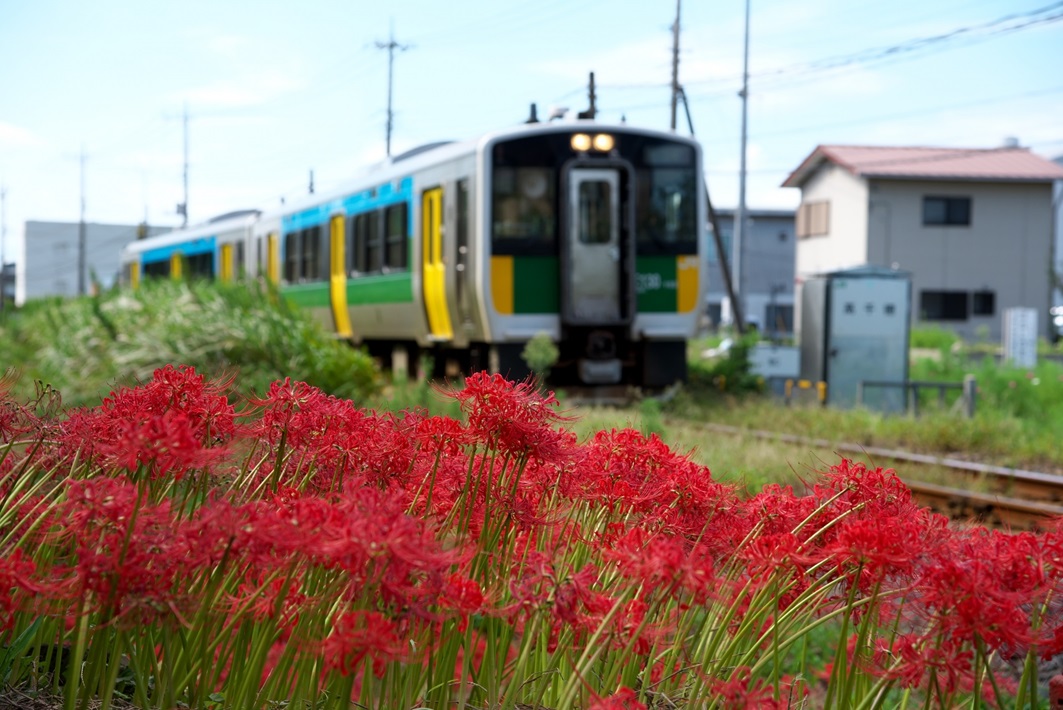【月1回の小さな旅行大人の散策】シニアにおすすめの珍しい習い事