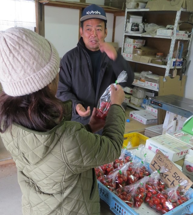 【取手市】わが町自慢「取手のトマト」皮は柔らかく、甘さと酸味のバランスが絶妙