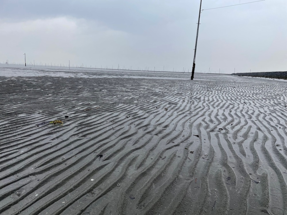 木更津市の潮干狩り場